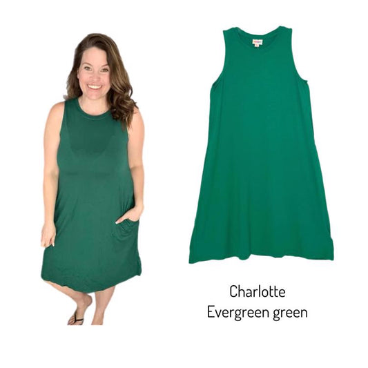 Charlotte Swing Dress LulaRoe Leslye and Kim Charlotte Swing Dress LulaRoe Leslye and Kim